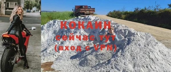 ешки Алексин