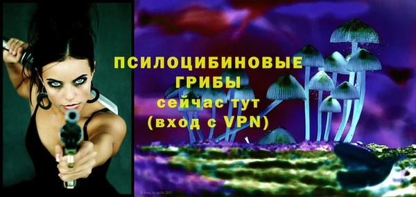 спиды Алзамай